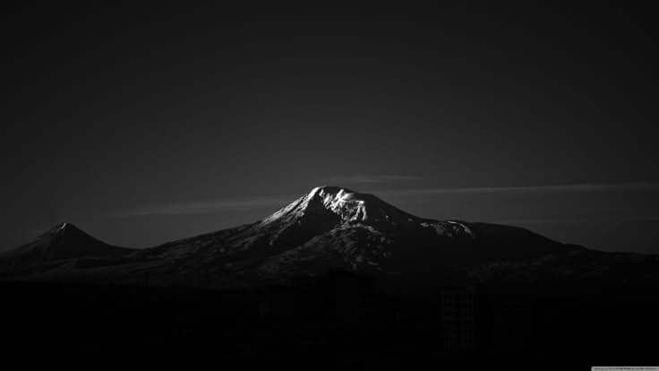 Profile Banner