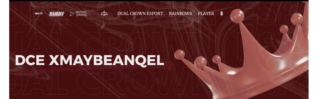 Profile Banner