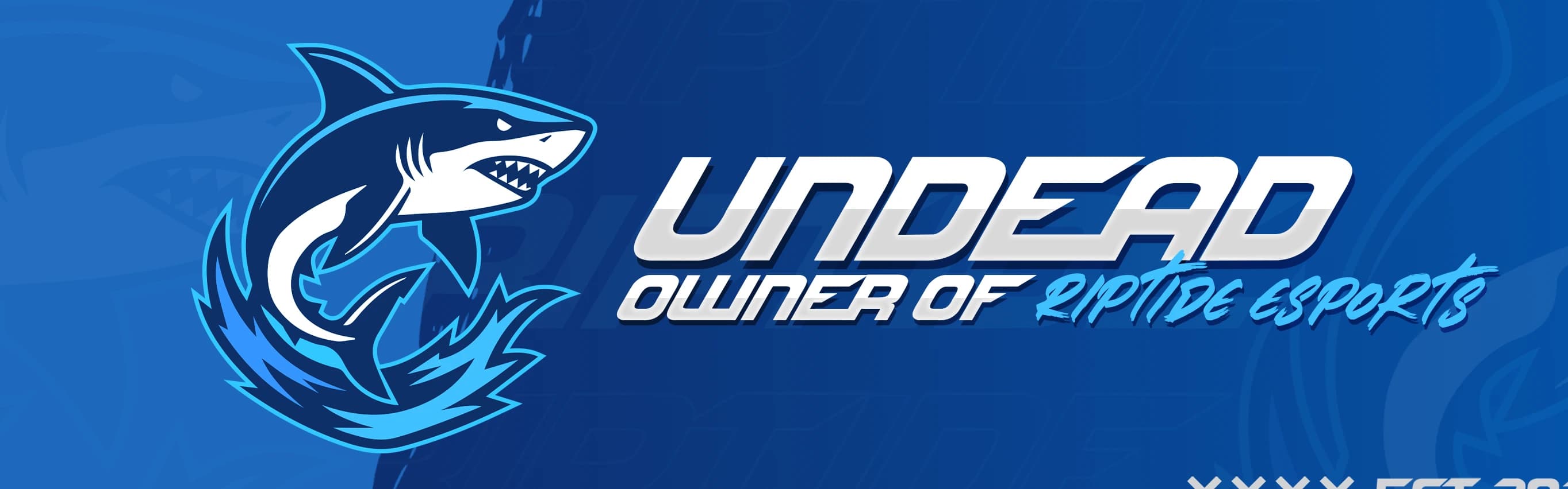 Profile Banner