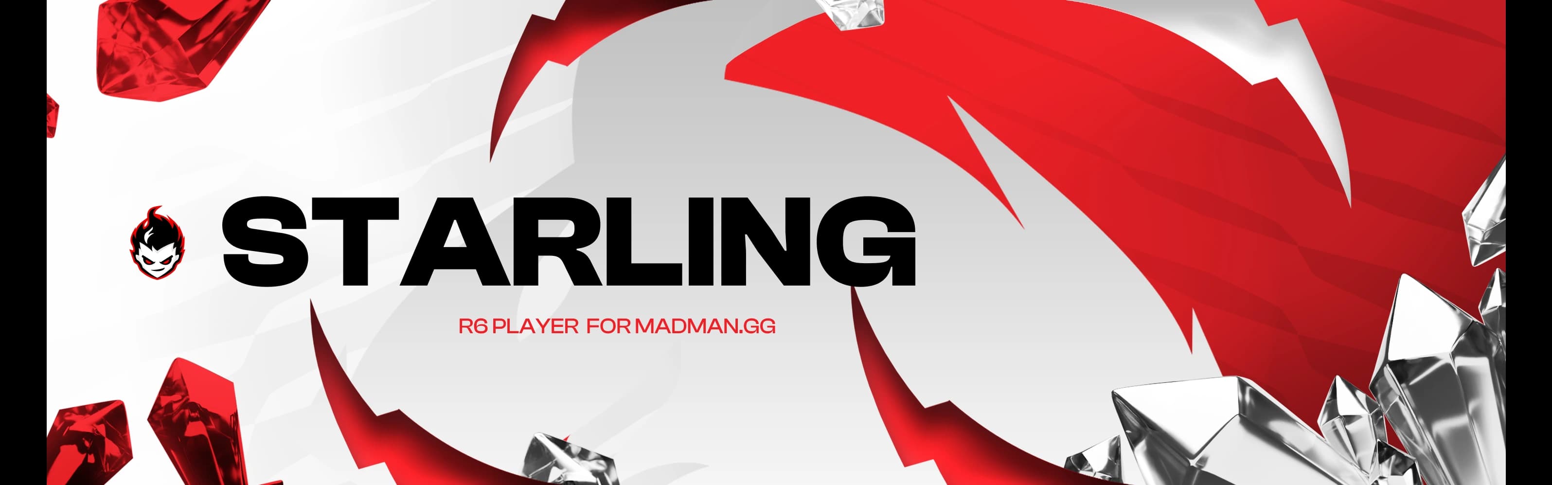 Profile Banner