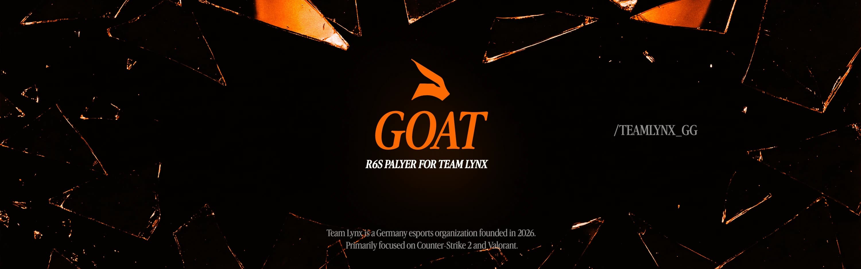 Profile Banner