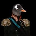 Penguin Project