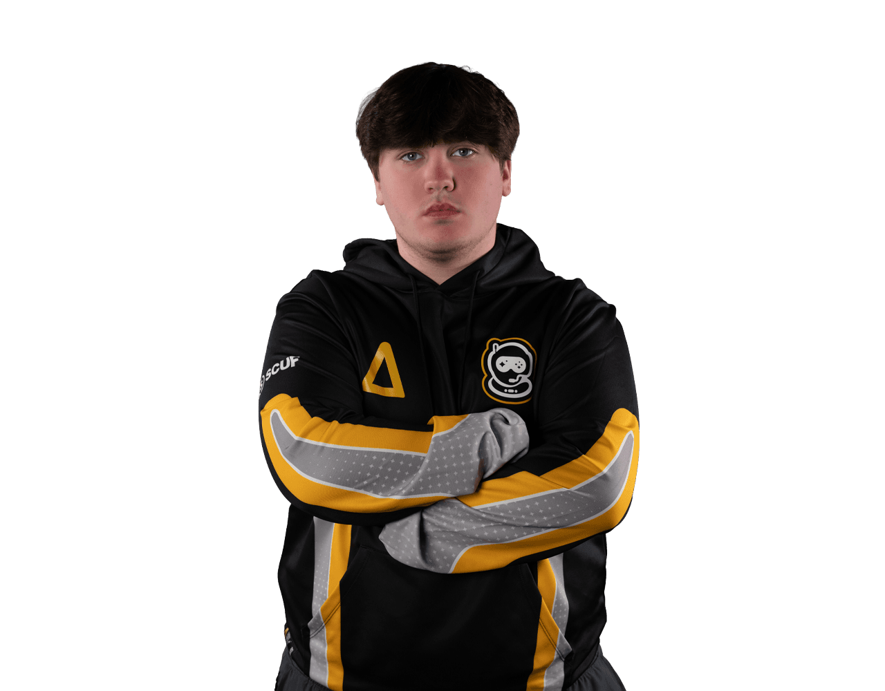 Portrait of Raid