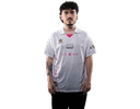 Stk