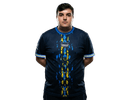 Sarks