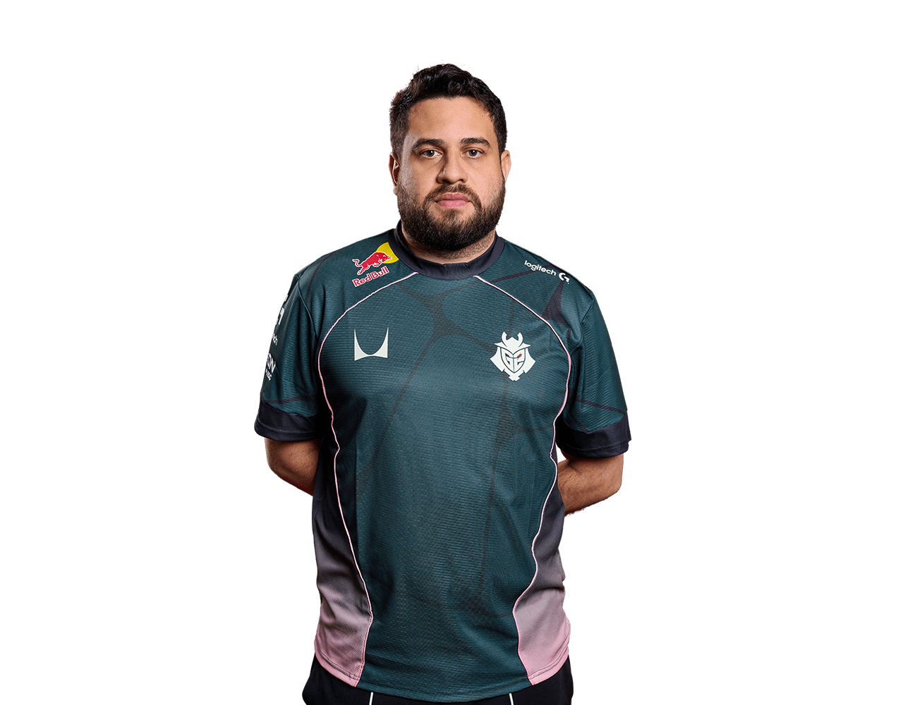 Portrait of Ramalho
