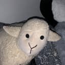 Lambe